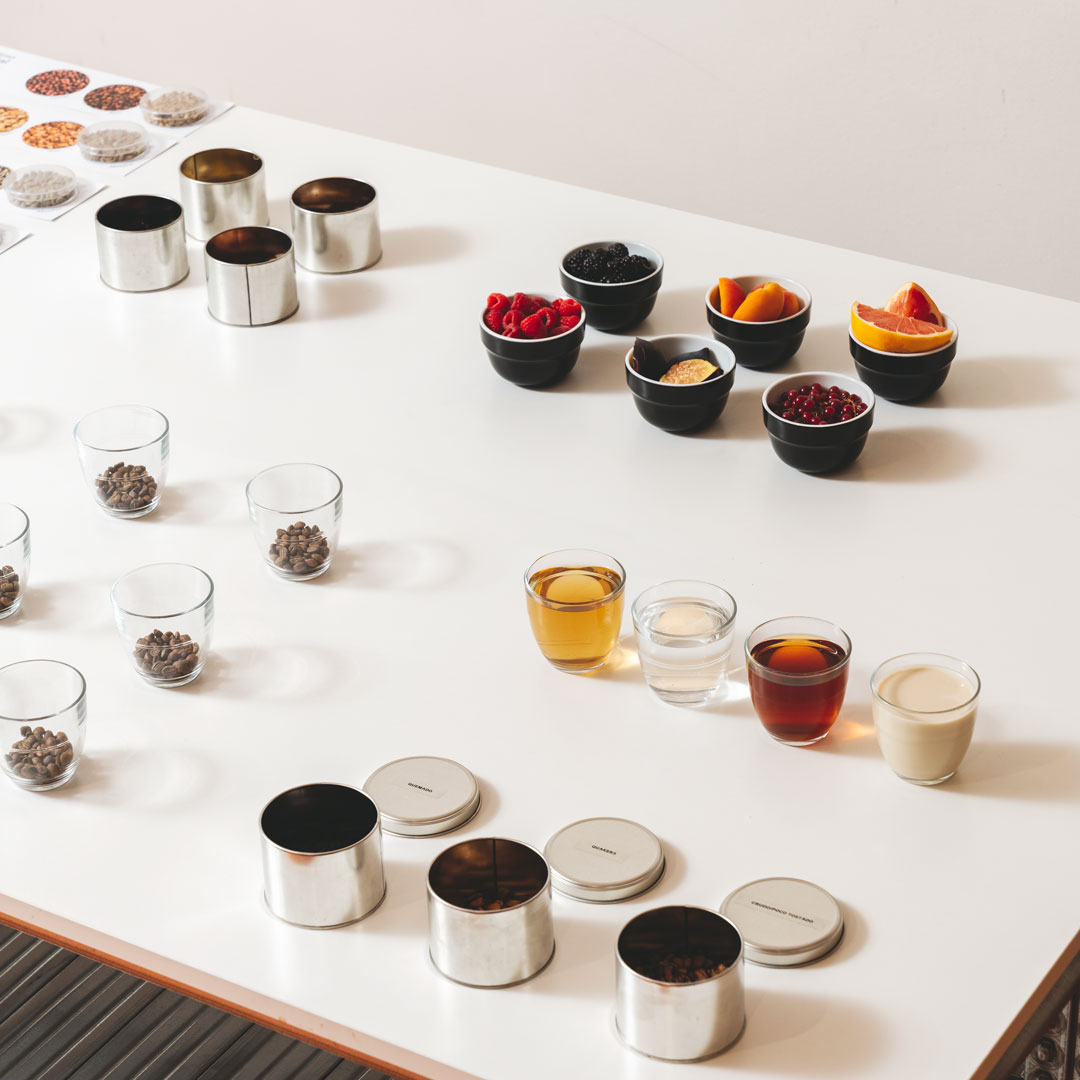 ENTRENAMIENTO EN EVALUACIÓN DE CAFÉ