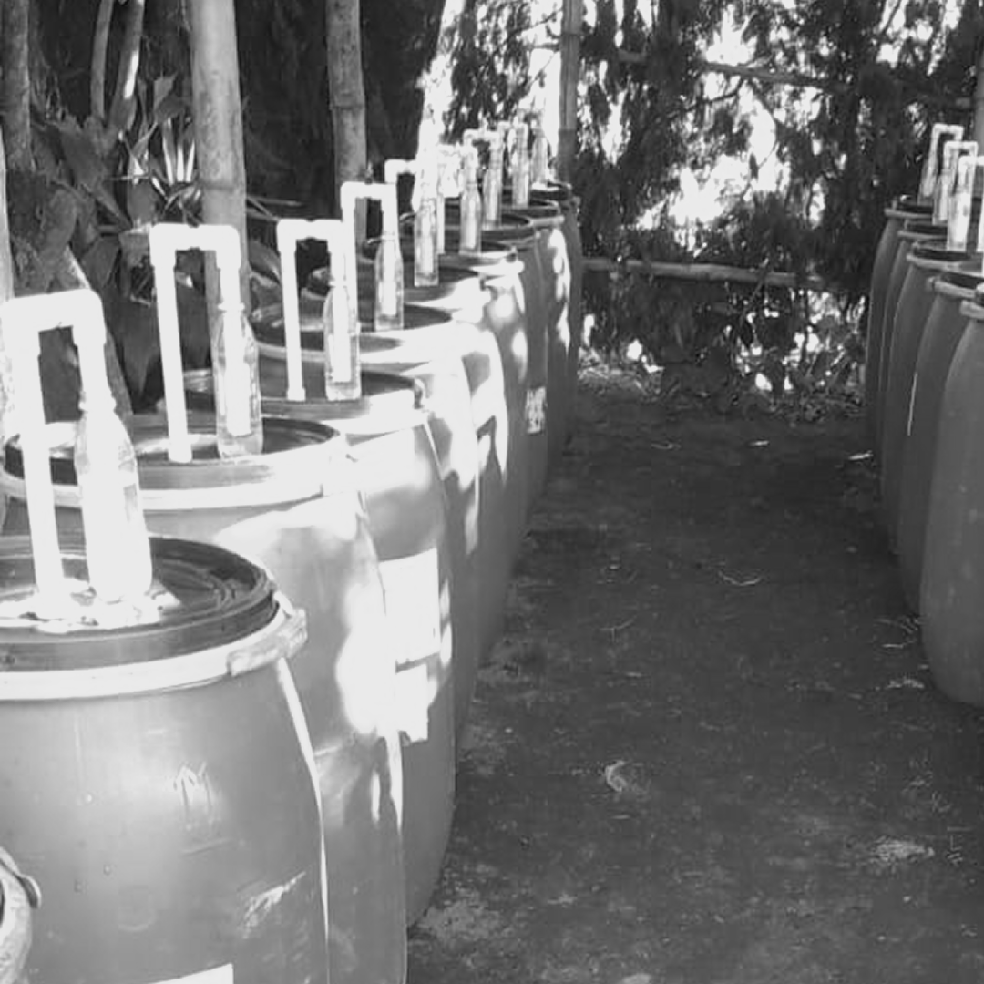 WHAT IS ANAEROBIC FERMENTATION?