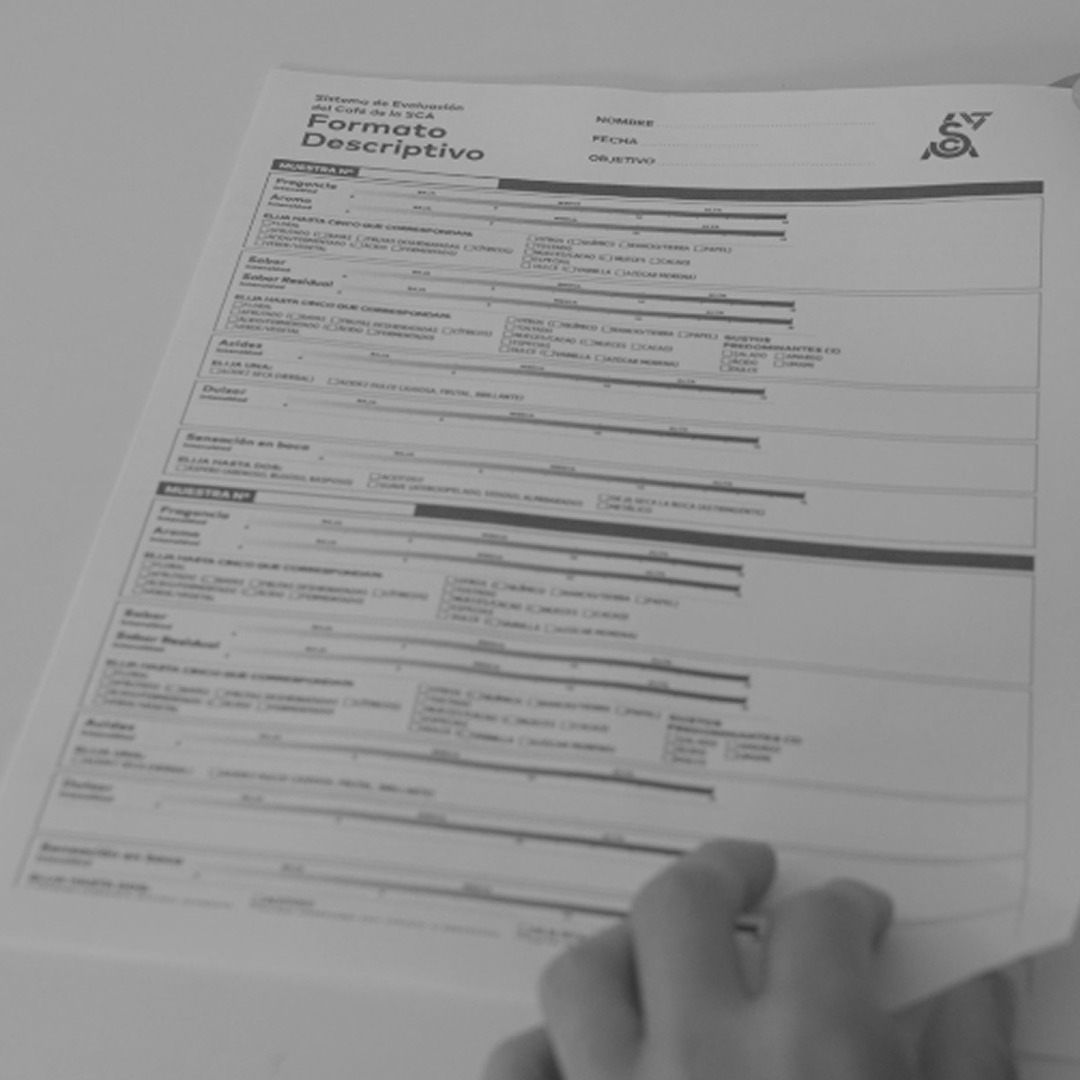Què està passant amb el CQI, la SCA i els Q-Graders?