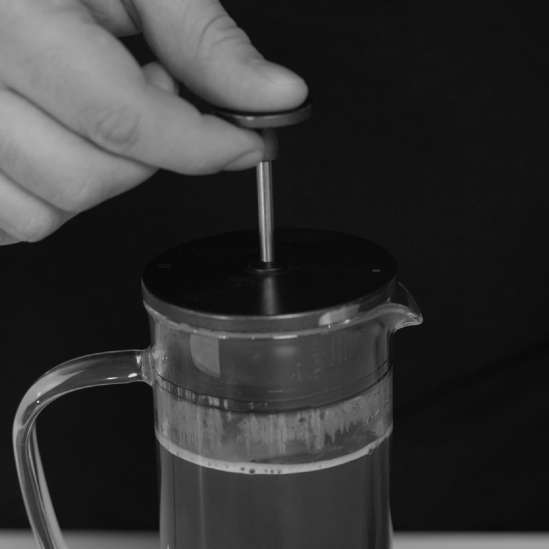 ¿Conoces el método de filtrado French press?