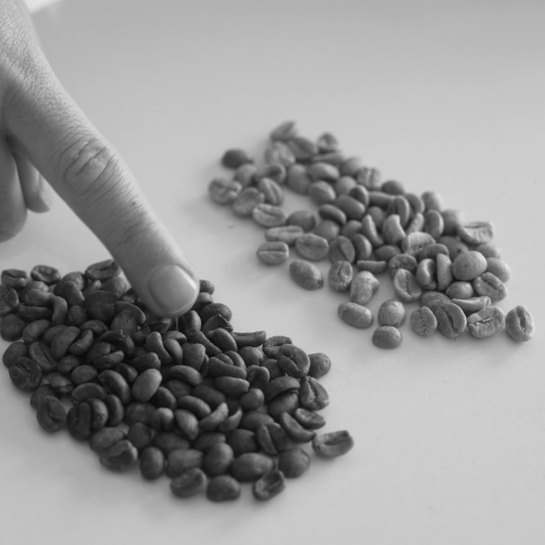 HOW DO YOU REMOVE CAFFEINE FROM COFFEE?