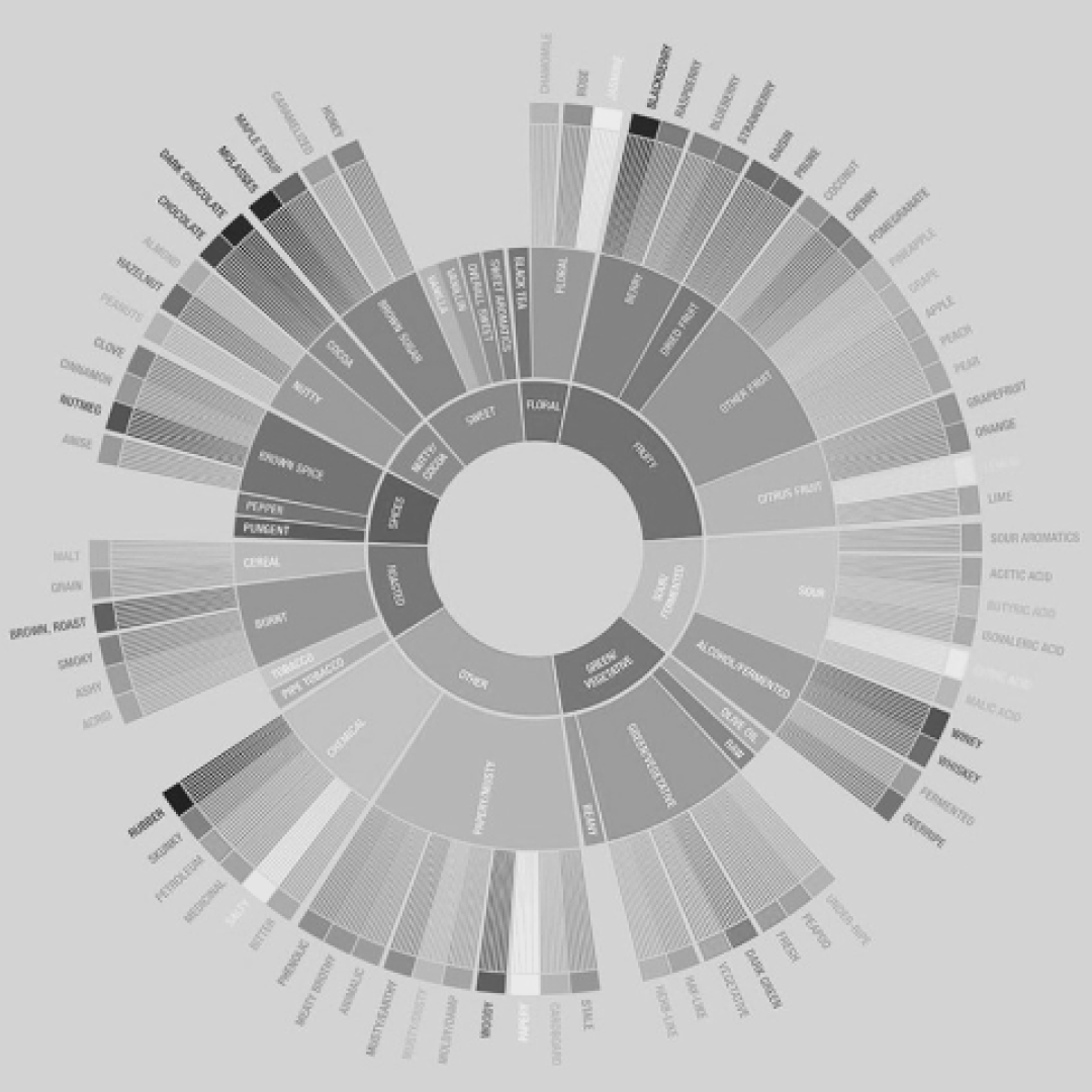 DO YOU KNOW WHAT THE SCA FLAVOR WHEEL IS USED FOR IN THE EVALUATION OF COFFEE?