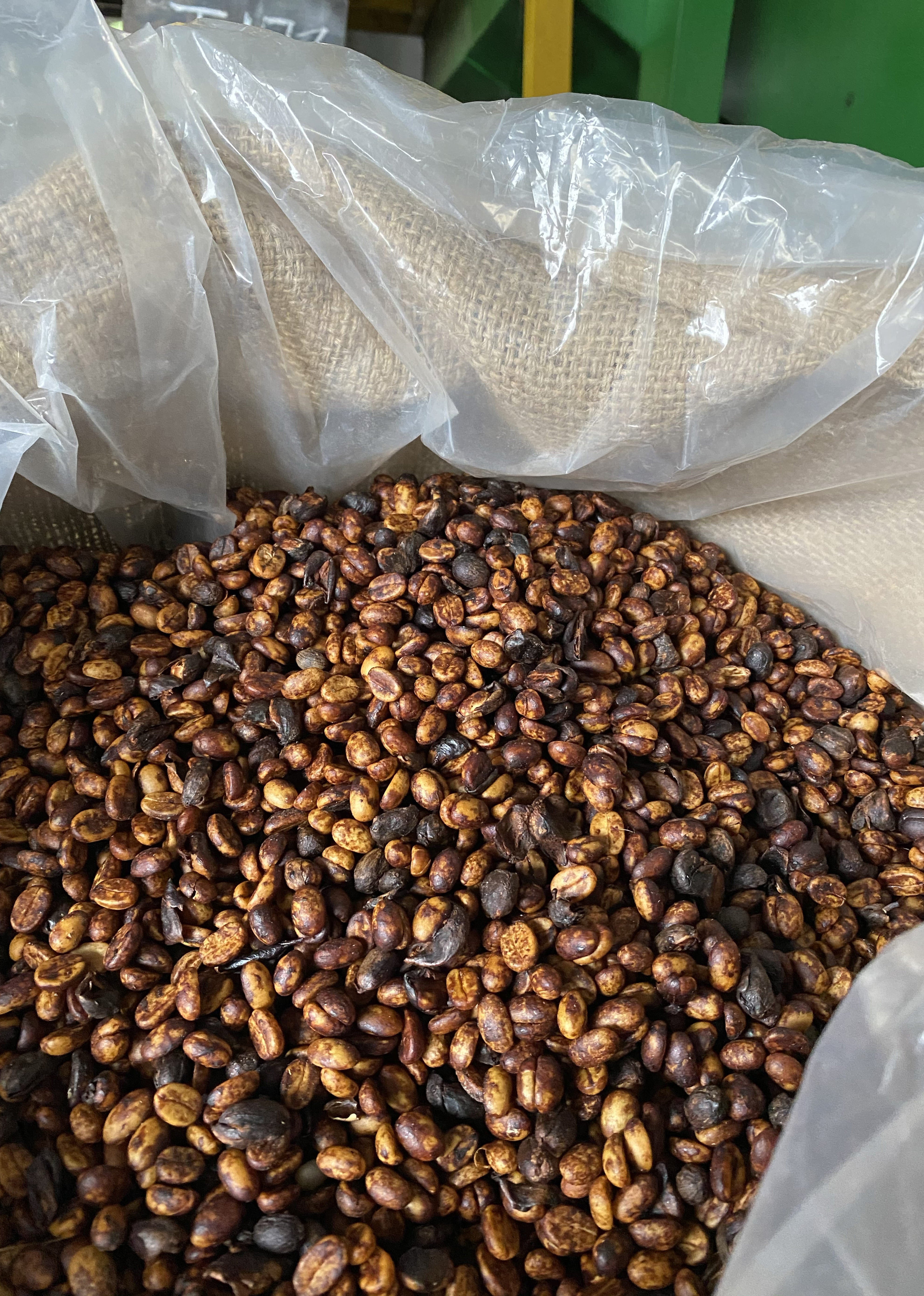 Centroamericano Natural Anaeróbico