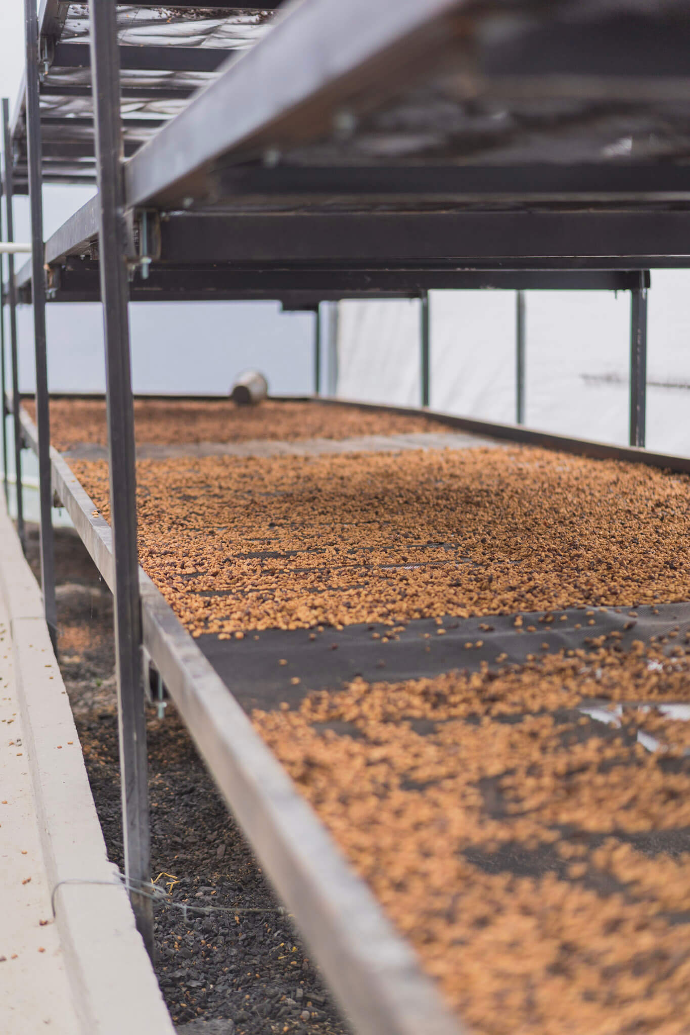 Nomad Coffee