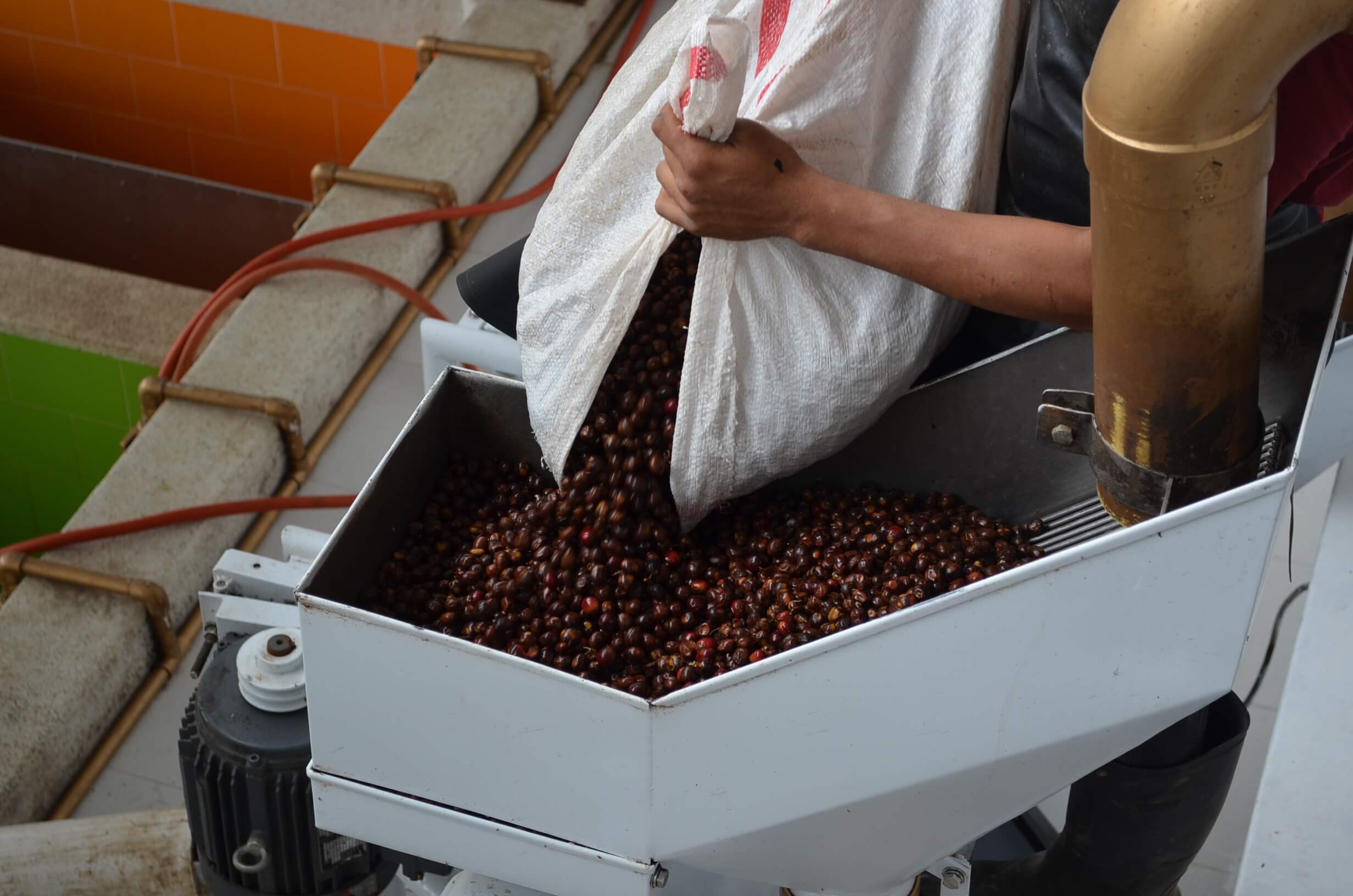 Nomad Coffee